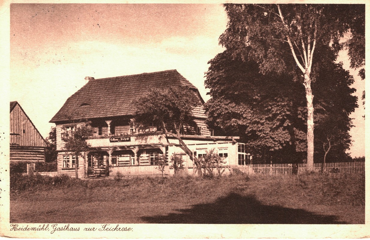 1912 Zum Teichrose (jpg)